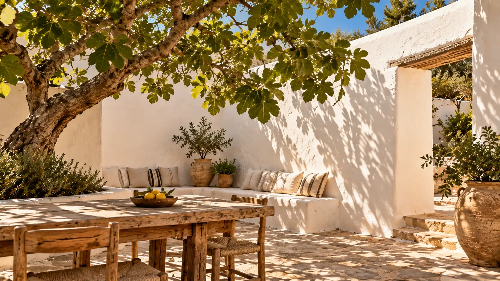 Patio encalado a la sombra de una higuera